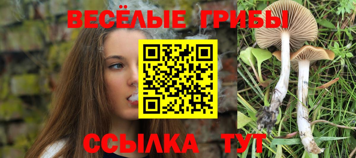 Псилоцибиновые грибы GOLDEN TEACHER  Вход с VPN  Новодвинск 